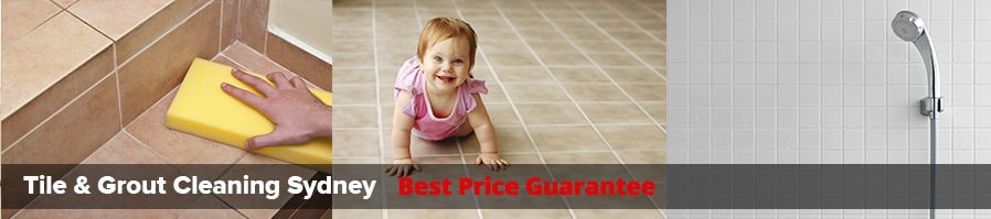 deluxe-carpet-cleaning